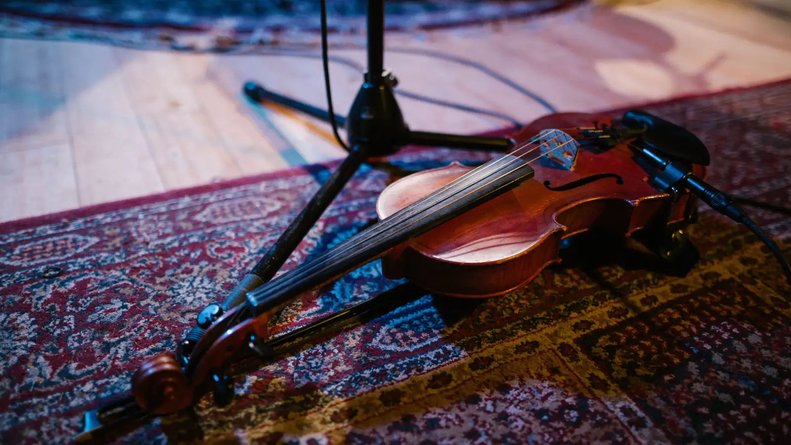 The Bow Stick Mistake That Ruins Your Sound and How to Check