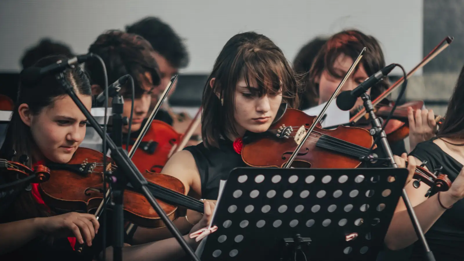 Finally Learn What Each Part of the Bow Does—Even If You’ve Struggled to Remember