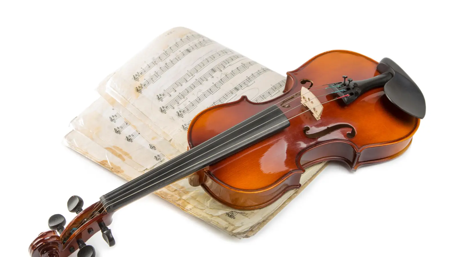 Fine Tuners: The Precision Tool Professionals Actually Prefer