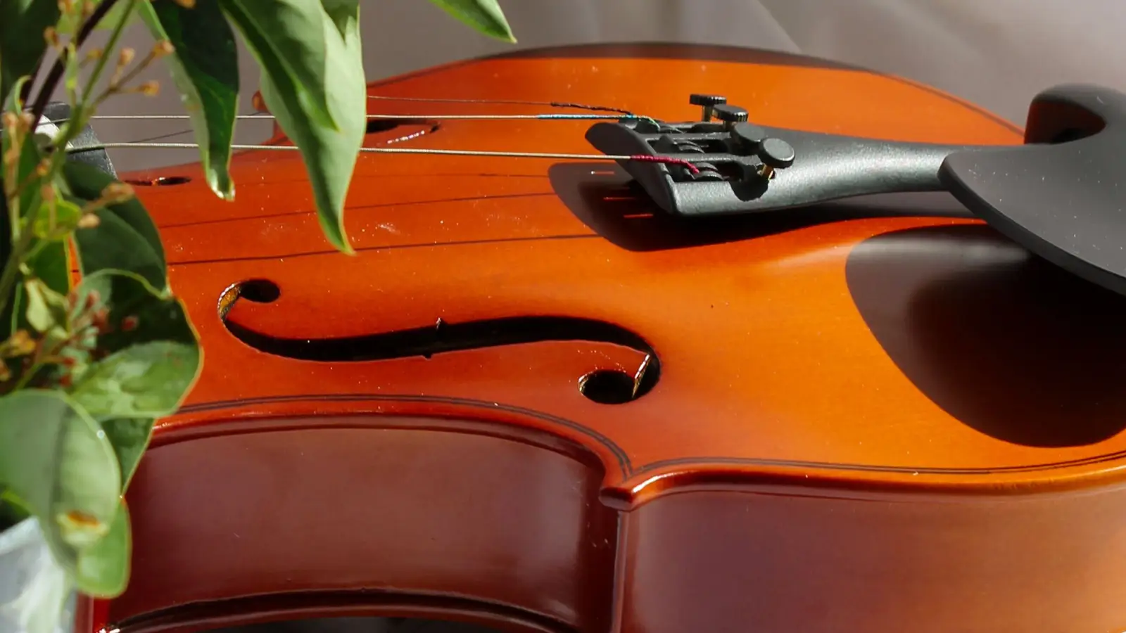 5-Minute Daily Violin Cleaning Routine for Beginners
