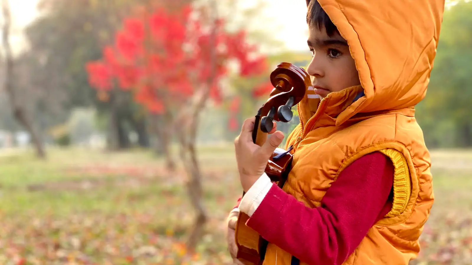 The Hidden Cost of Buying a Violin Too Early as a Beginner