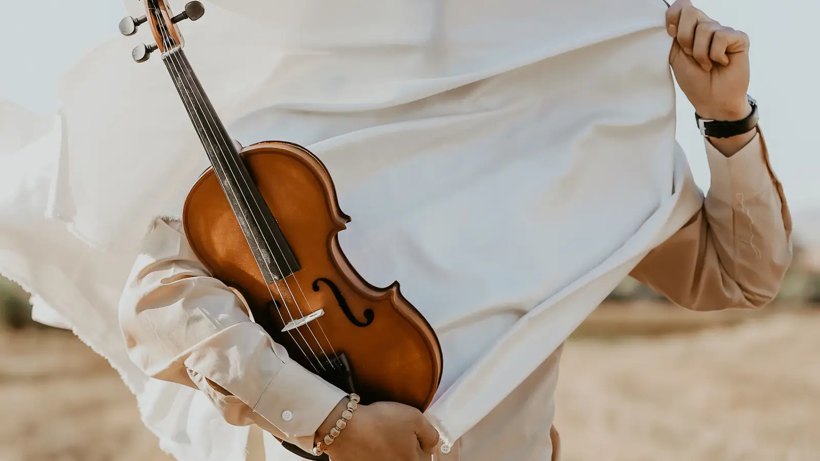 The Only Time You Should Use a Damp Cloth on Your Violin