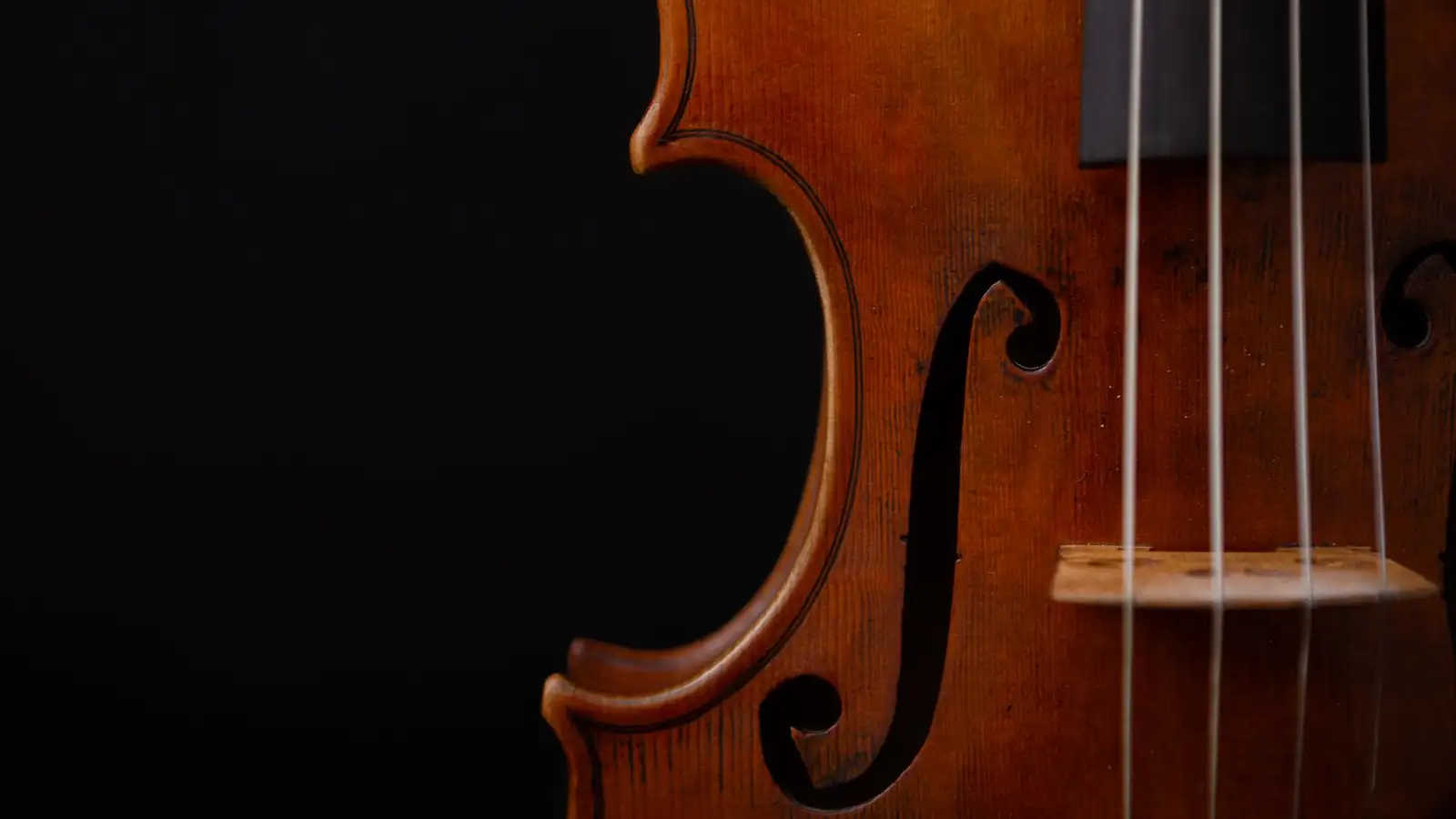 The Real Difference Between Steel, Synthetic, and Gut Violin Strings