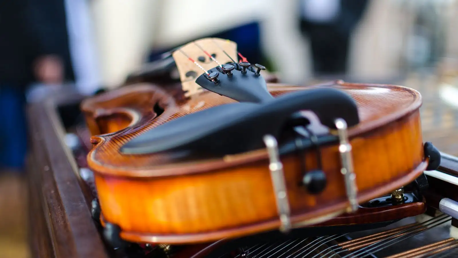 The Shoulder Rest That Fits a Full-Size Violin Will Not Fit a Half Size