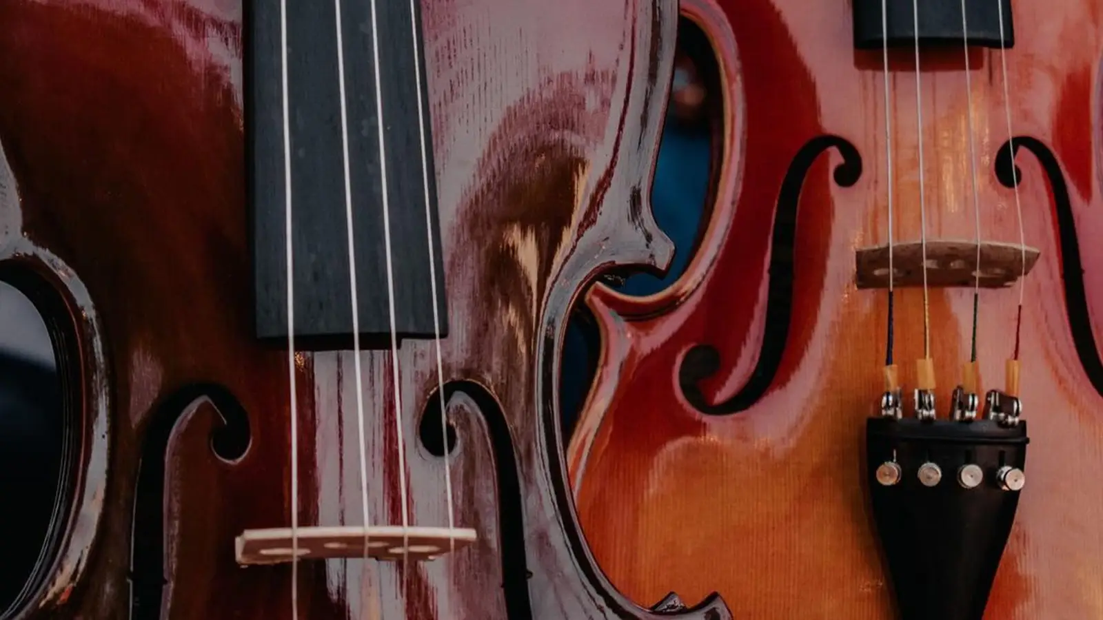 Two Tiny Parts Inside Your Violin That Shape Every Note