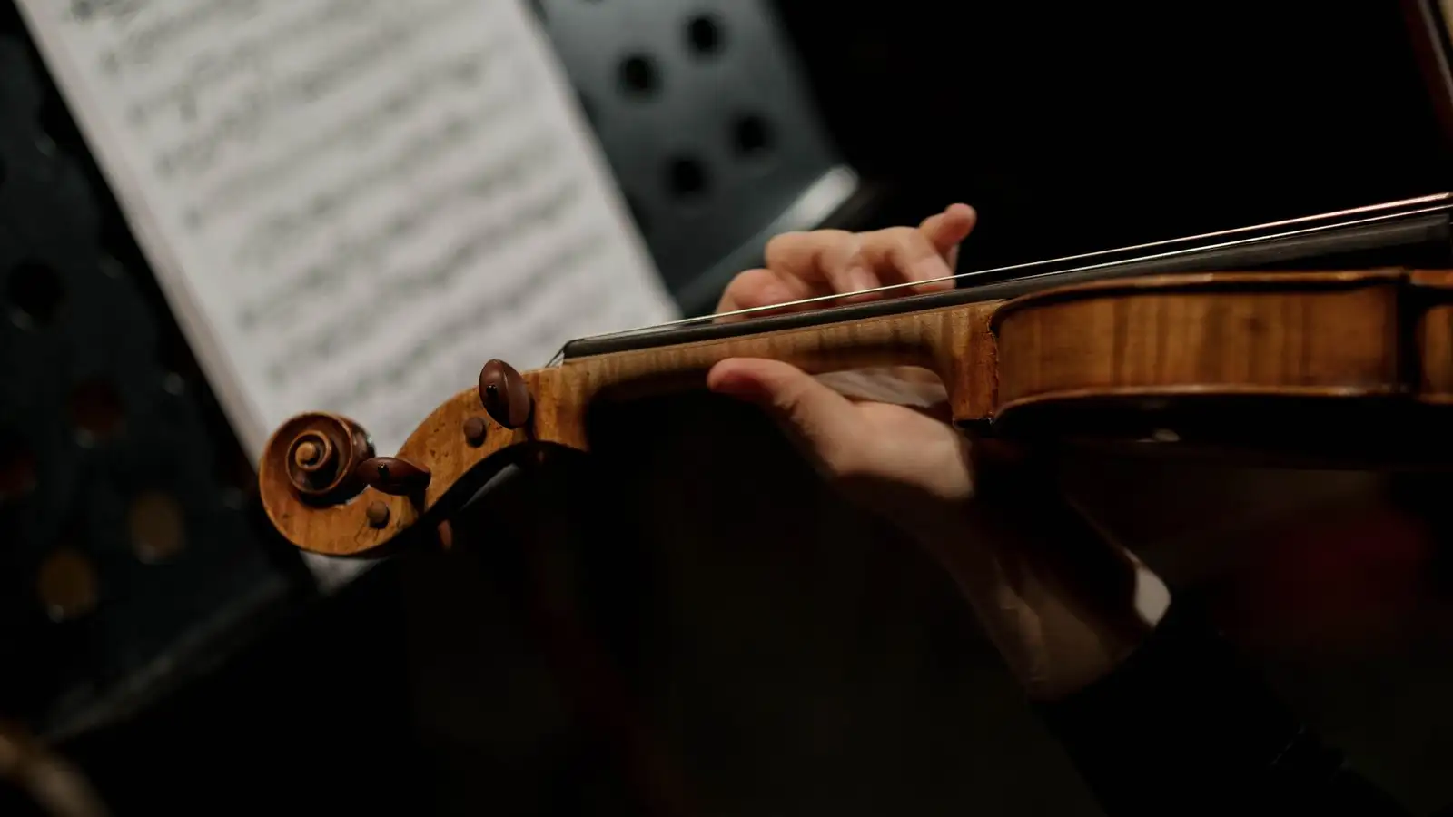 The Real Reason a Violin Bow Needs Rosin to Make Sound