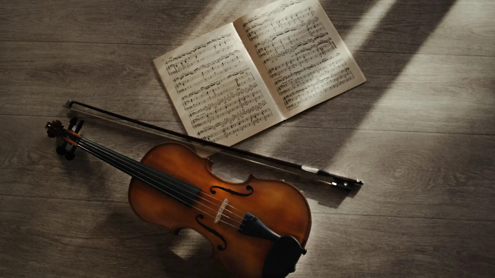 What Beginners Miss About Violin Bow Parts and Why It Matters