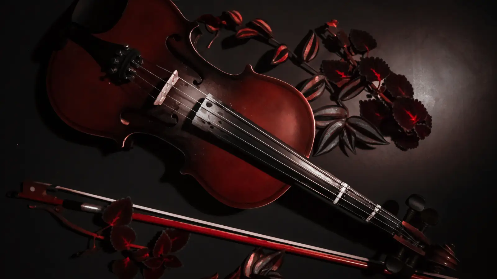 What Dark vs. Bright Strings Actually Do to Your Violin Tone
