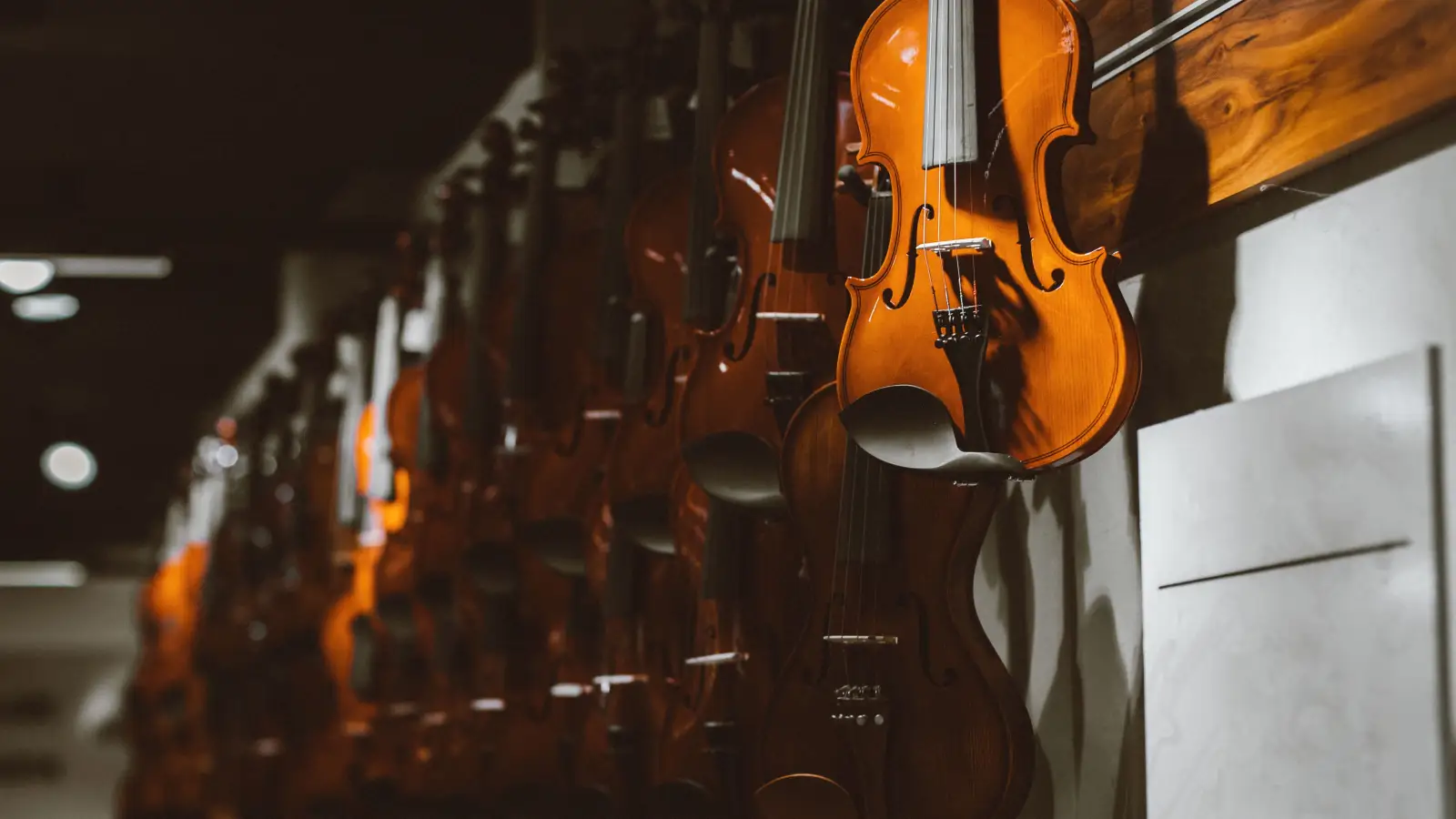 Why a Cheap Violin Is Actually the Most Expensive Choice