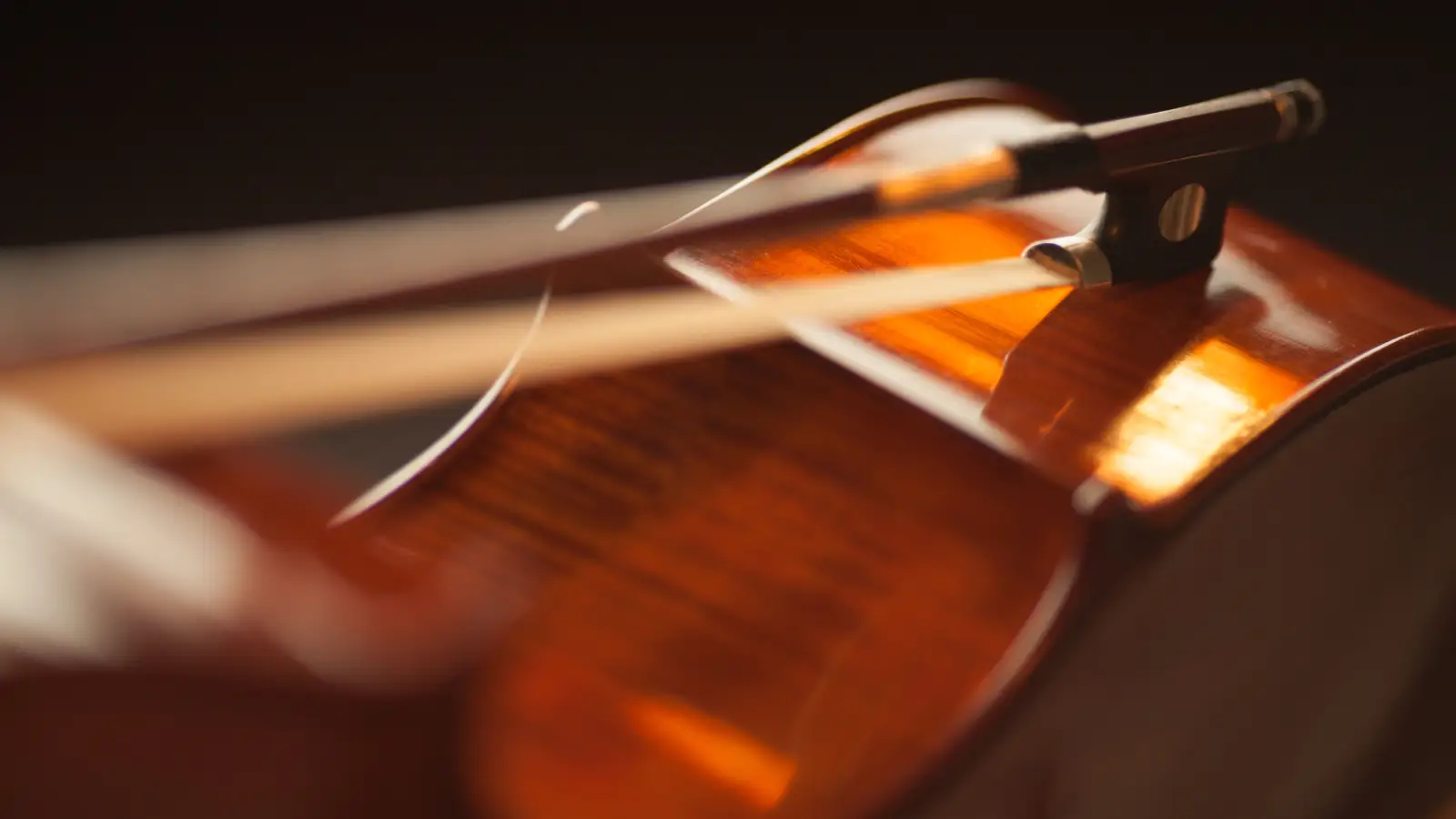 Why Your Bow Stick Is Not Just a Stick of Wood